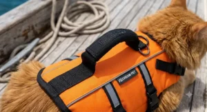 Close-up of the reinforced top grab handle on a bright cat life jacket