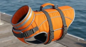 Illustration showing a bright reflective cat life vest with flotation pads and adjustable safety straps.