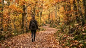 A man enjoying a crisp autumn afternoon walk through a park, wearing a lightweight version of the best down puffer jacket.